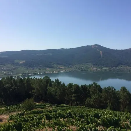 Cepas Da Cuenga * Ribadavia