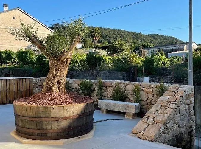 Cepas Da Cuenga Рибадавия