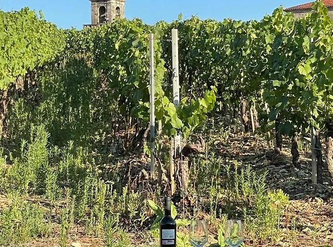 Апартаменты Cepas Da Cuenga