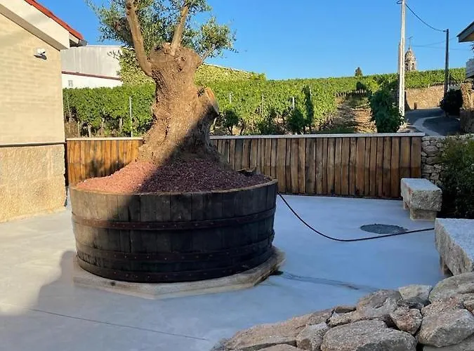 Cepas Da Cuenga Рибадавия