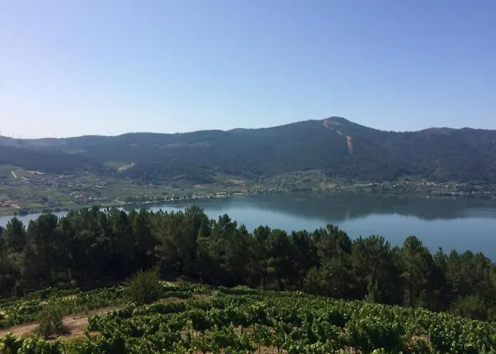 Cepas Da Cuenga * Рибадавия